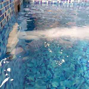 SPA-зона, Фітнес-центр CONSTANTA Sport, Дніпро, Україна